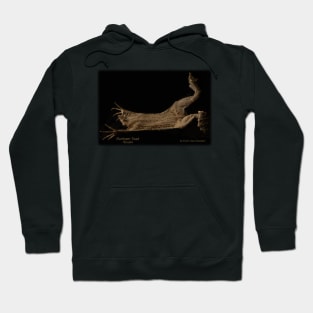 Surinam Toad - Pipa Pipa Hoodie